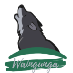 Logo Waingunga slu